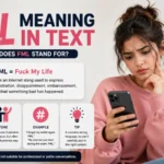 FML meaning in text