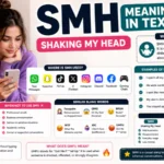 SMH Meaning in Text