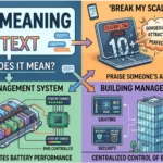 BMS Meaning in Text