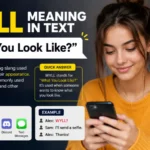 WYLL Meaning in Text