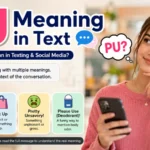 PU Meaning in Text