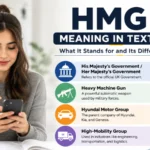HMG Meaning in Text