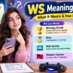 WS Meaning in Text