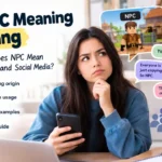 NPC Meaning